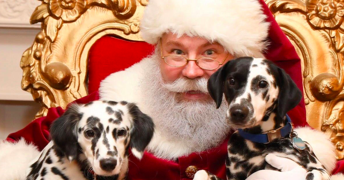 TrySpree Santa’s Coming to PetSmart! Get a Free Photo with Your Furry Friend!